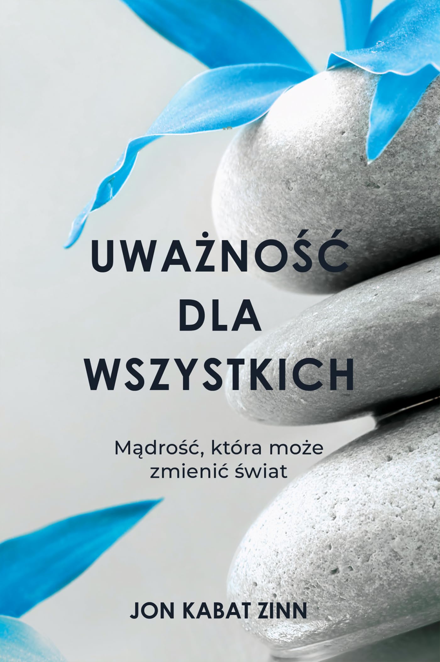 Uważność dla wszystkich: Mądrość, która może zmienić świat Books