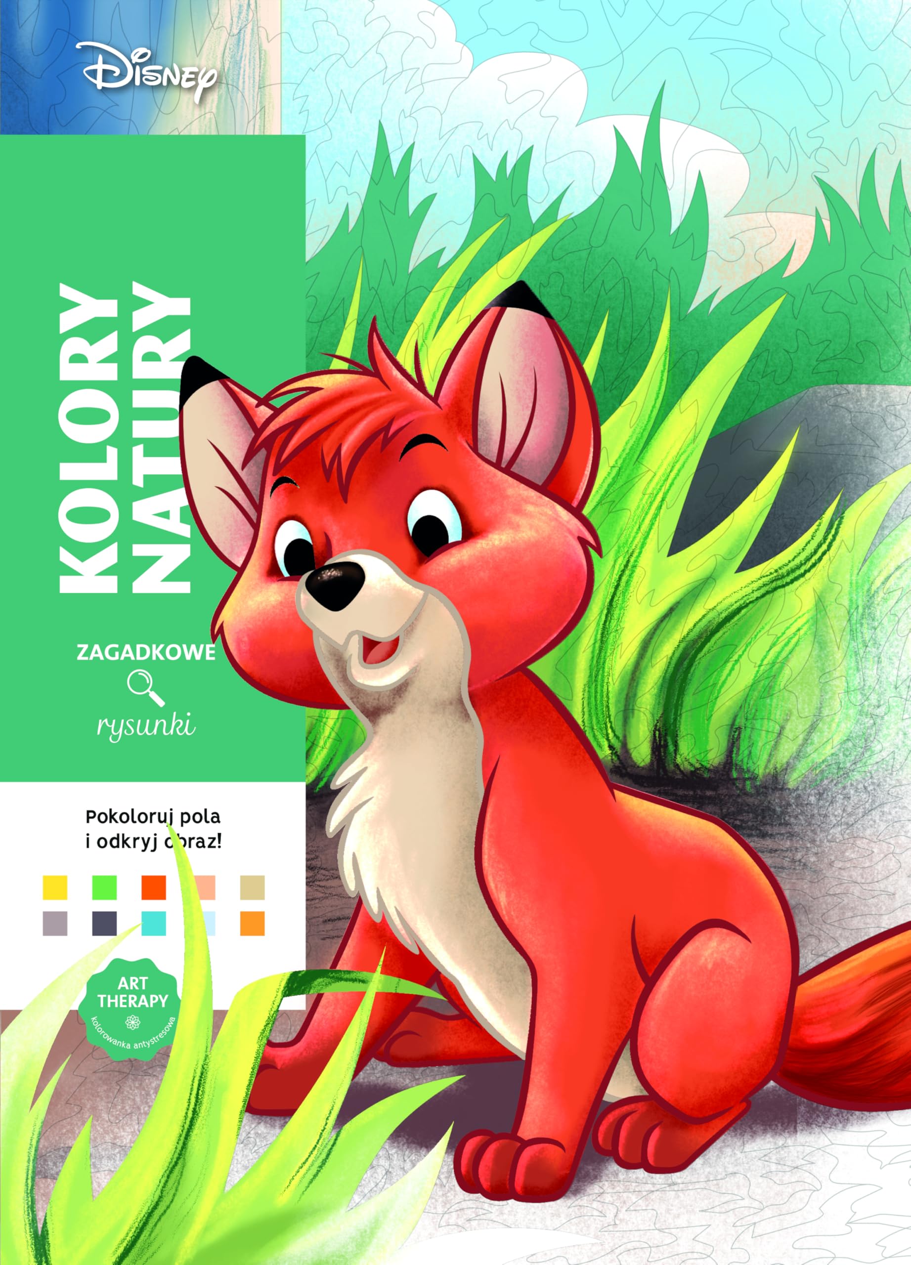 Art therapy Kolorowanka antystresowa Disney Zagadkowe rysunki book
