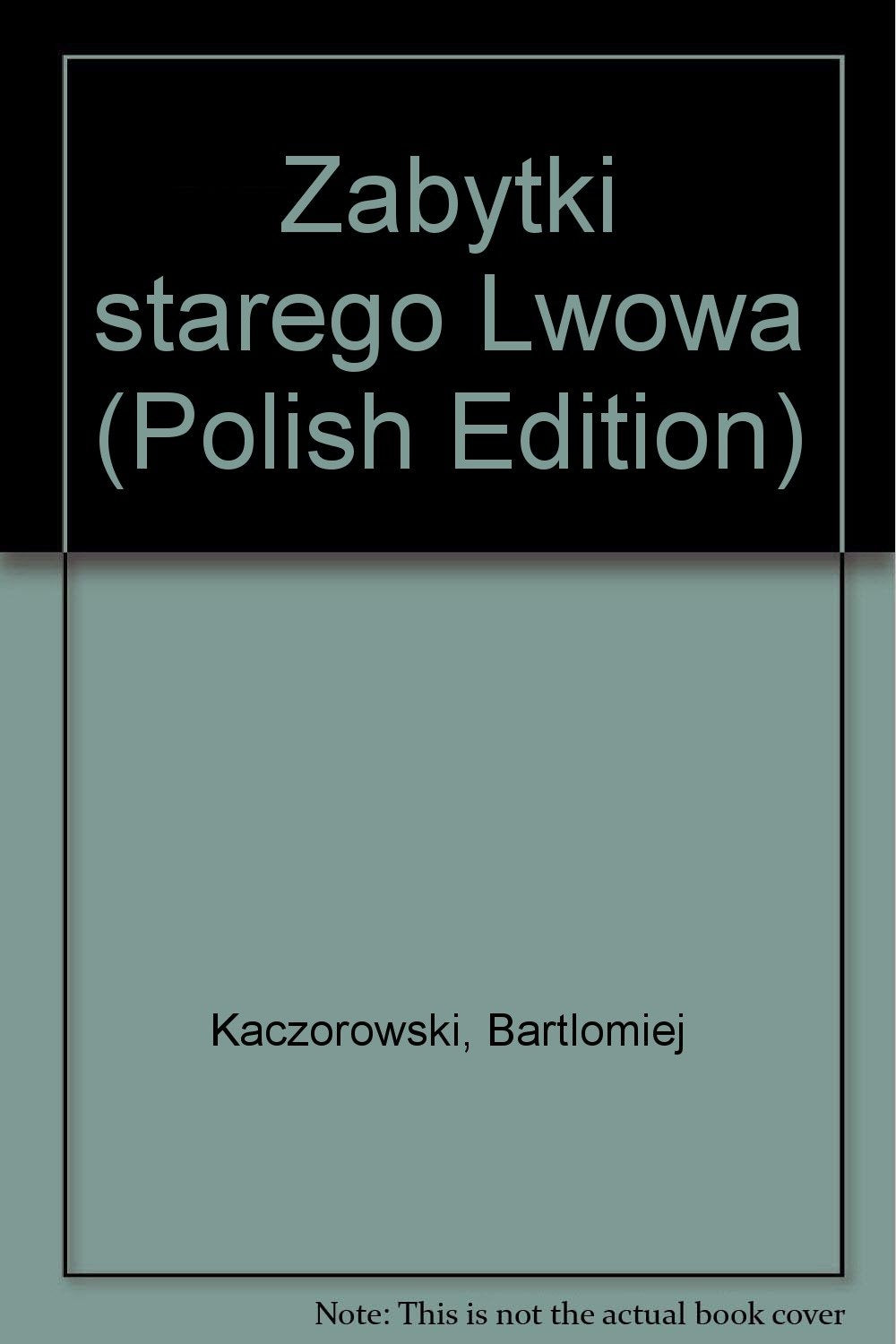 Zabytki starego Lwowa (Polish Edition) Books