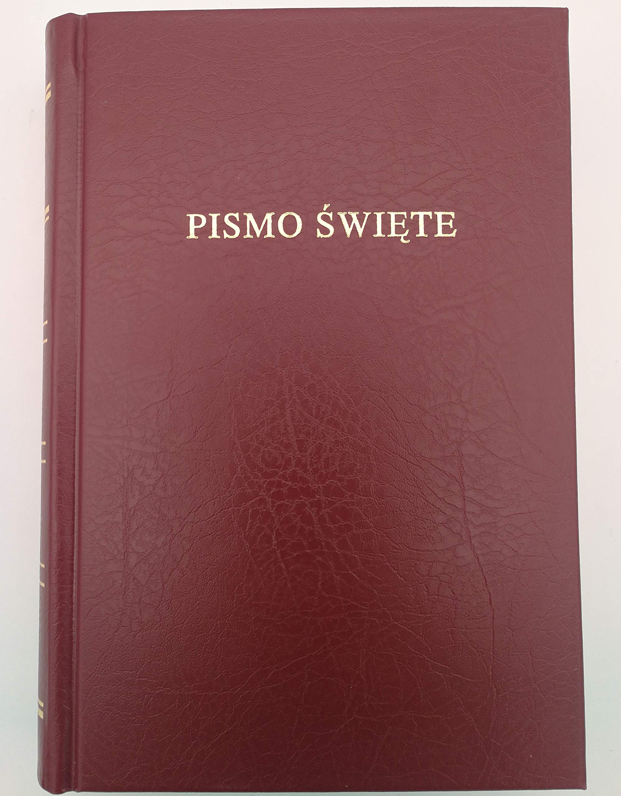 Polish Bible Books
