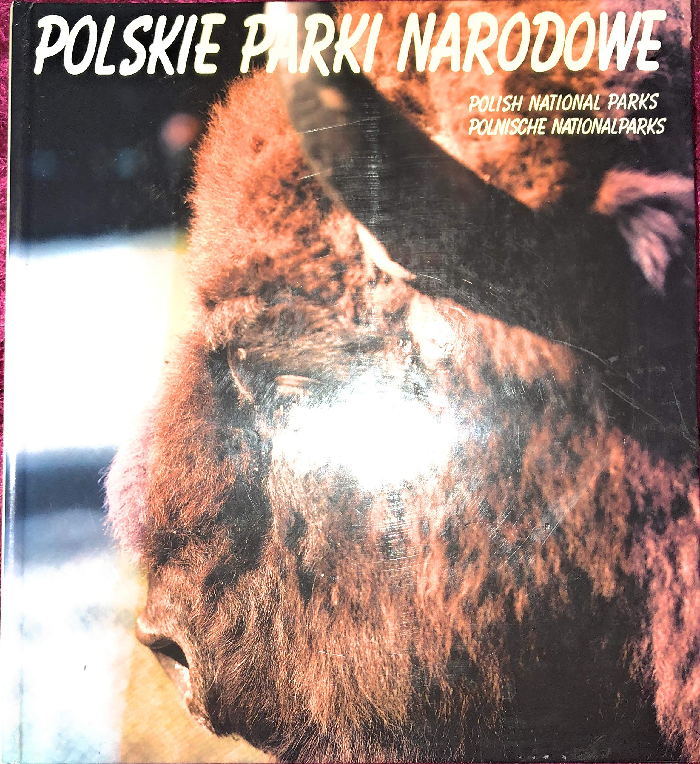 Polskie parki narodowe =: Polish national parks = Polnische Nationalparks Books