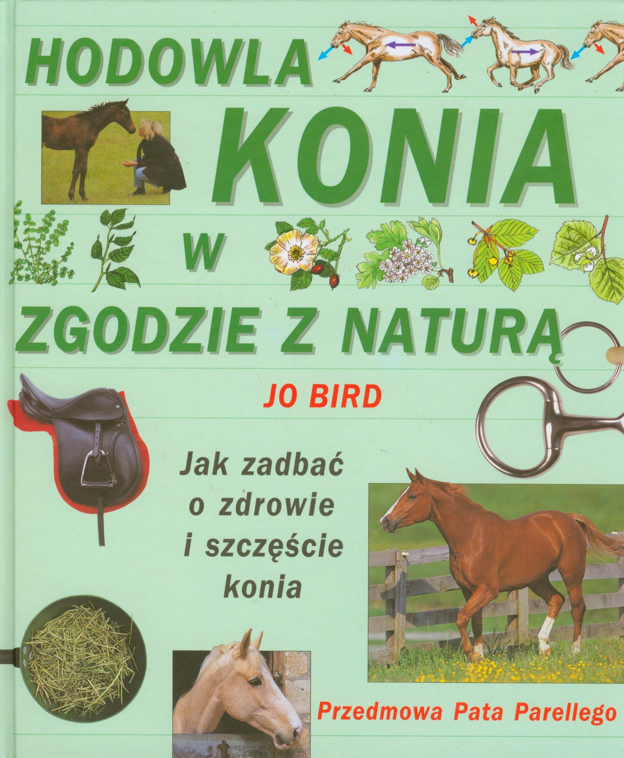 Hodowla konia w zgodzie z naturą: Jak zadbać o zdrowie i szczęście konia Books