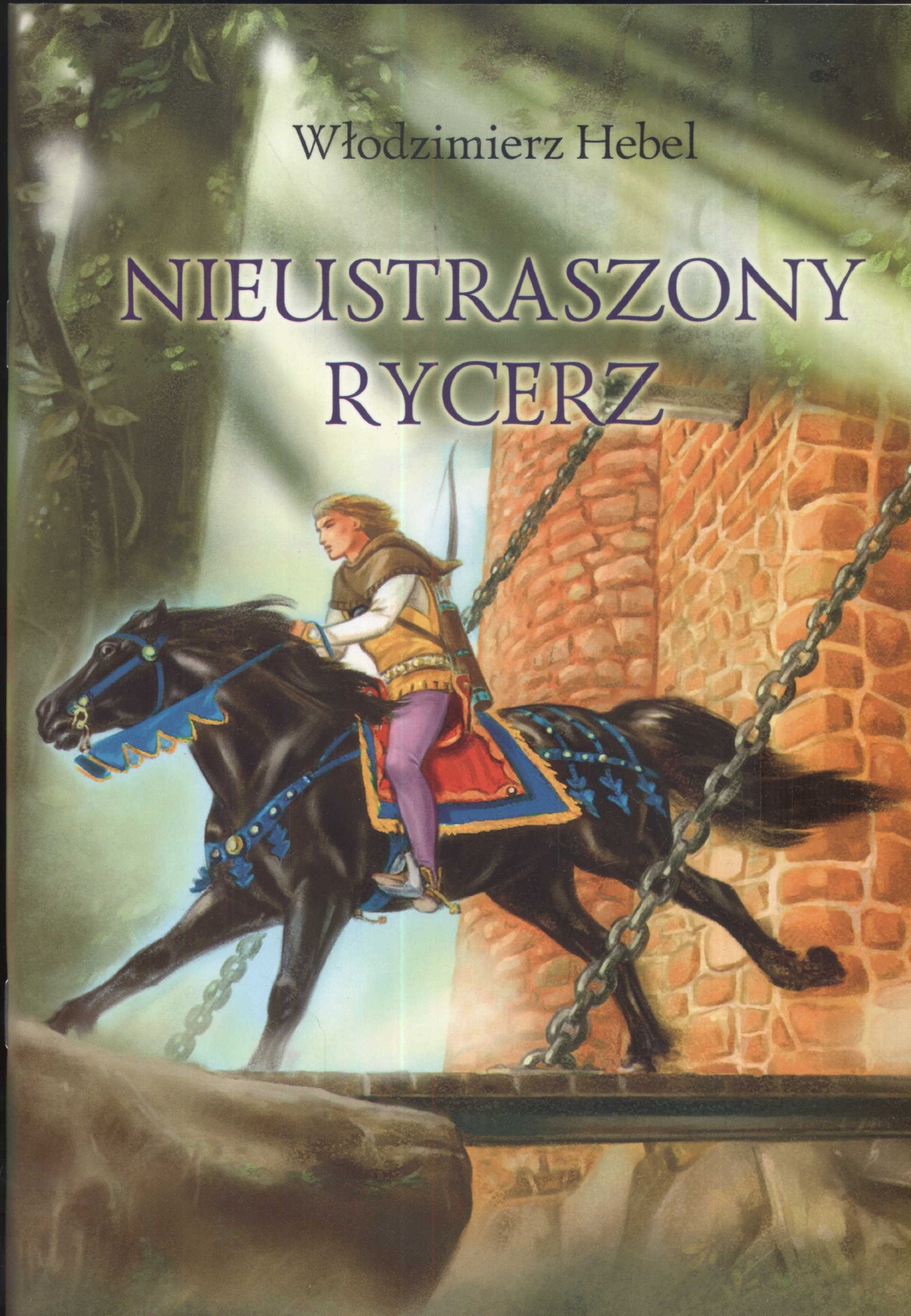 Nieustraszony rycerz Books