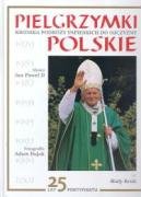 Pielgrzymki polskie: Kronika podrózy papieskich do ojczyzny book