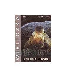 Klejnot Rzeczypospolitej wer niem Books