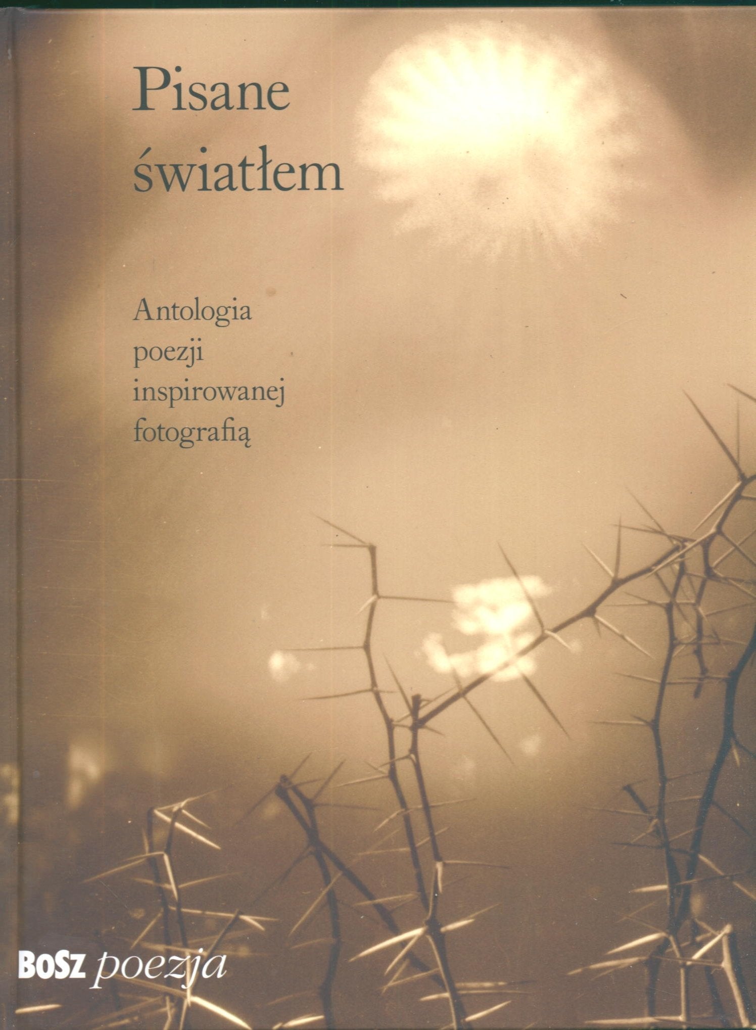 Pisane światłem Antologia poezji inspirowanej fotografią Books