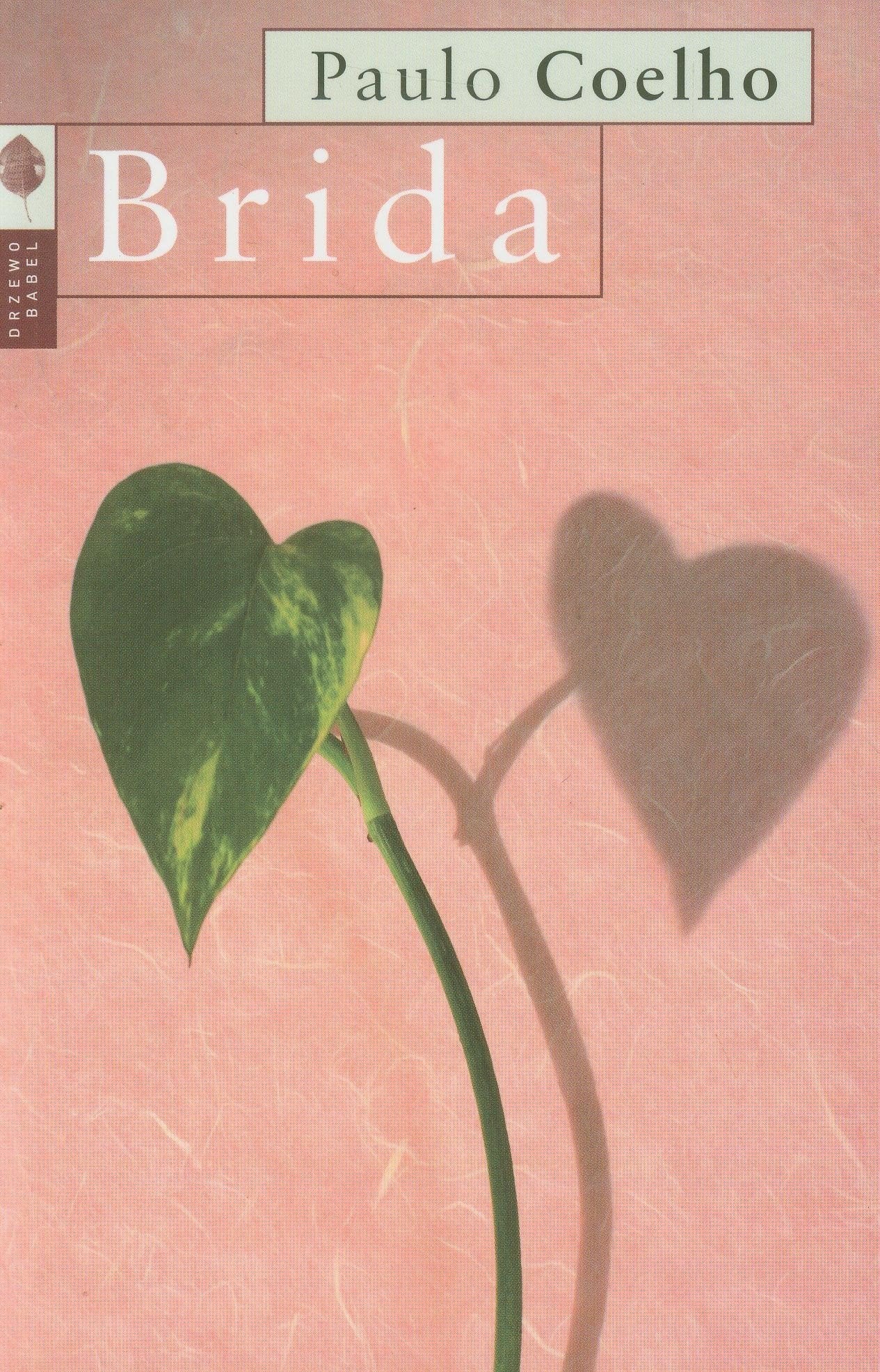 Brida (SERIA KIESZONKOWA) Books
