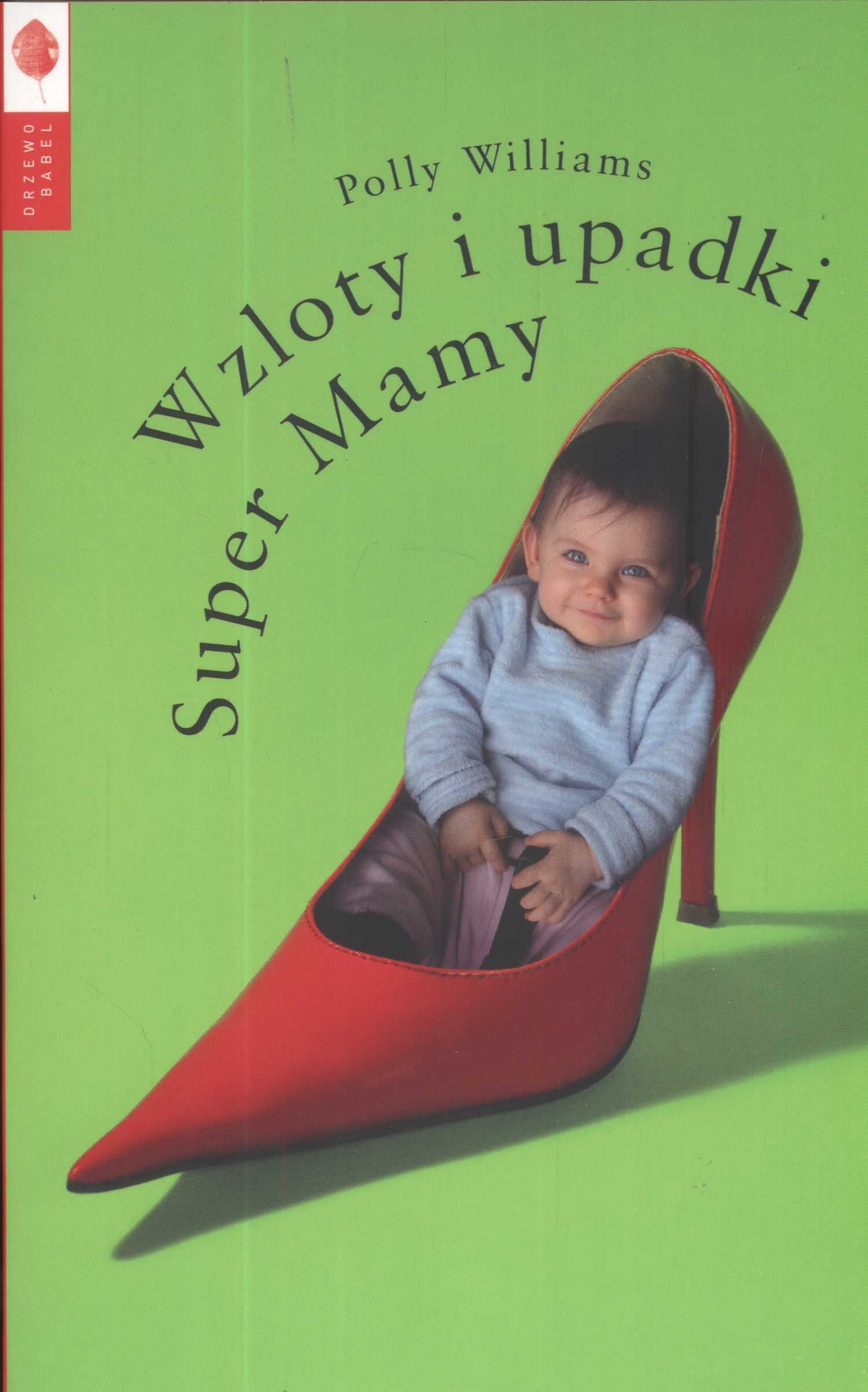 Wzloty i upadki Super Mamy Contemporary literature