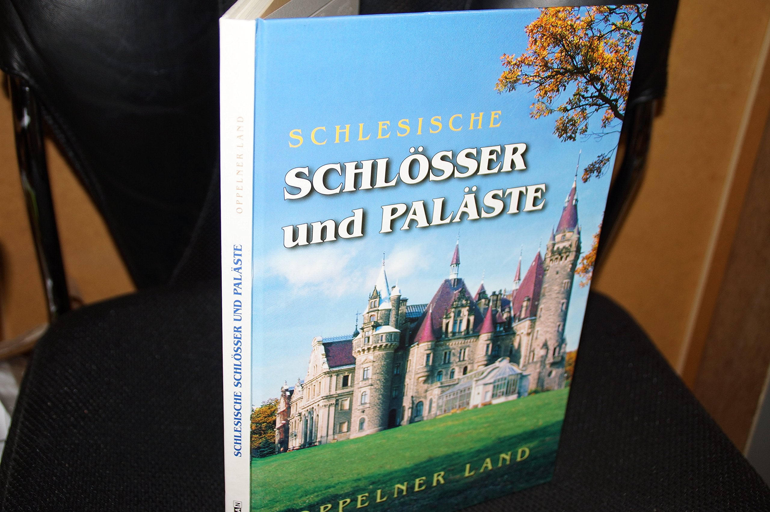 Schlesische Schlösser und Paläste. Oppelner Land Books