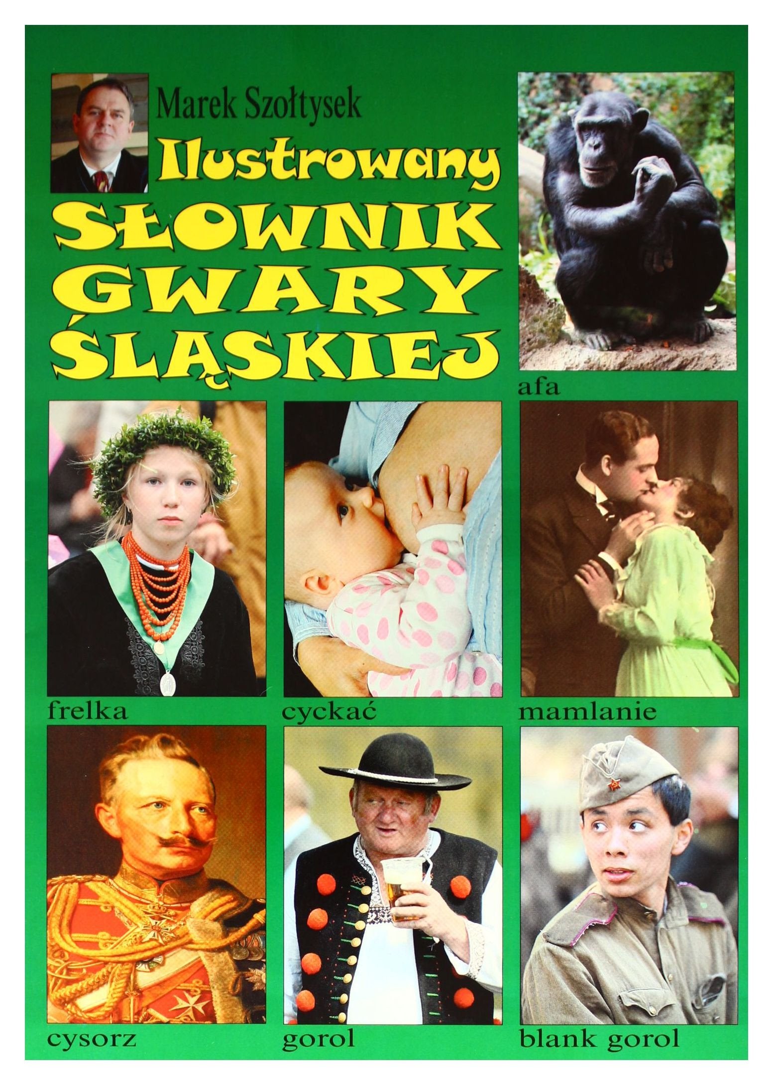 Ilustrowany sĹownik gwary ĹlÄskiej book