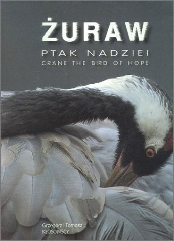 Crane: The Bird of Hope Mathematics