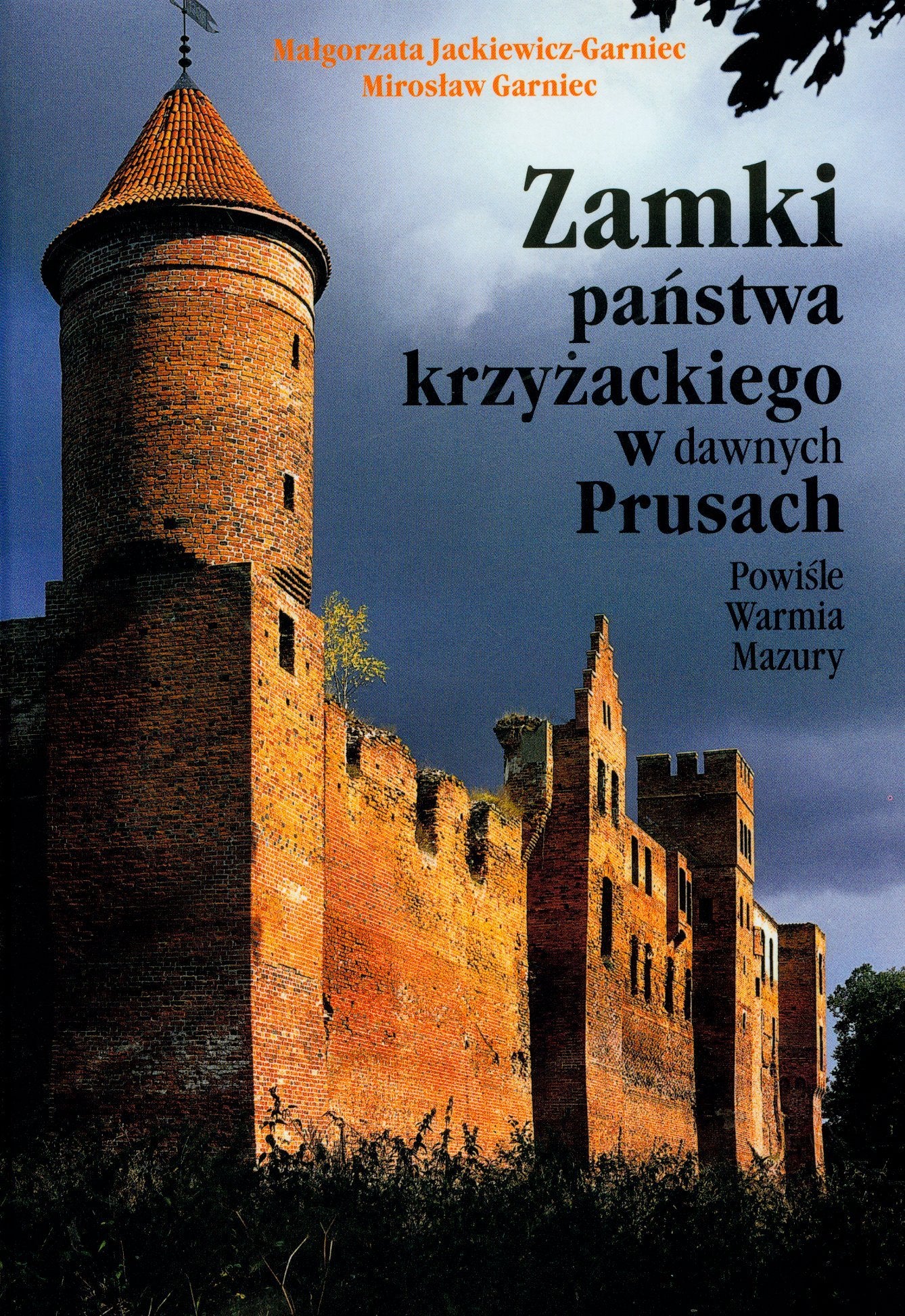 Zamki państwa krzyżackiego w dawnych Prusach: Powiśle, Warmia, Mazury Books