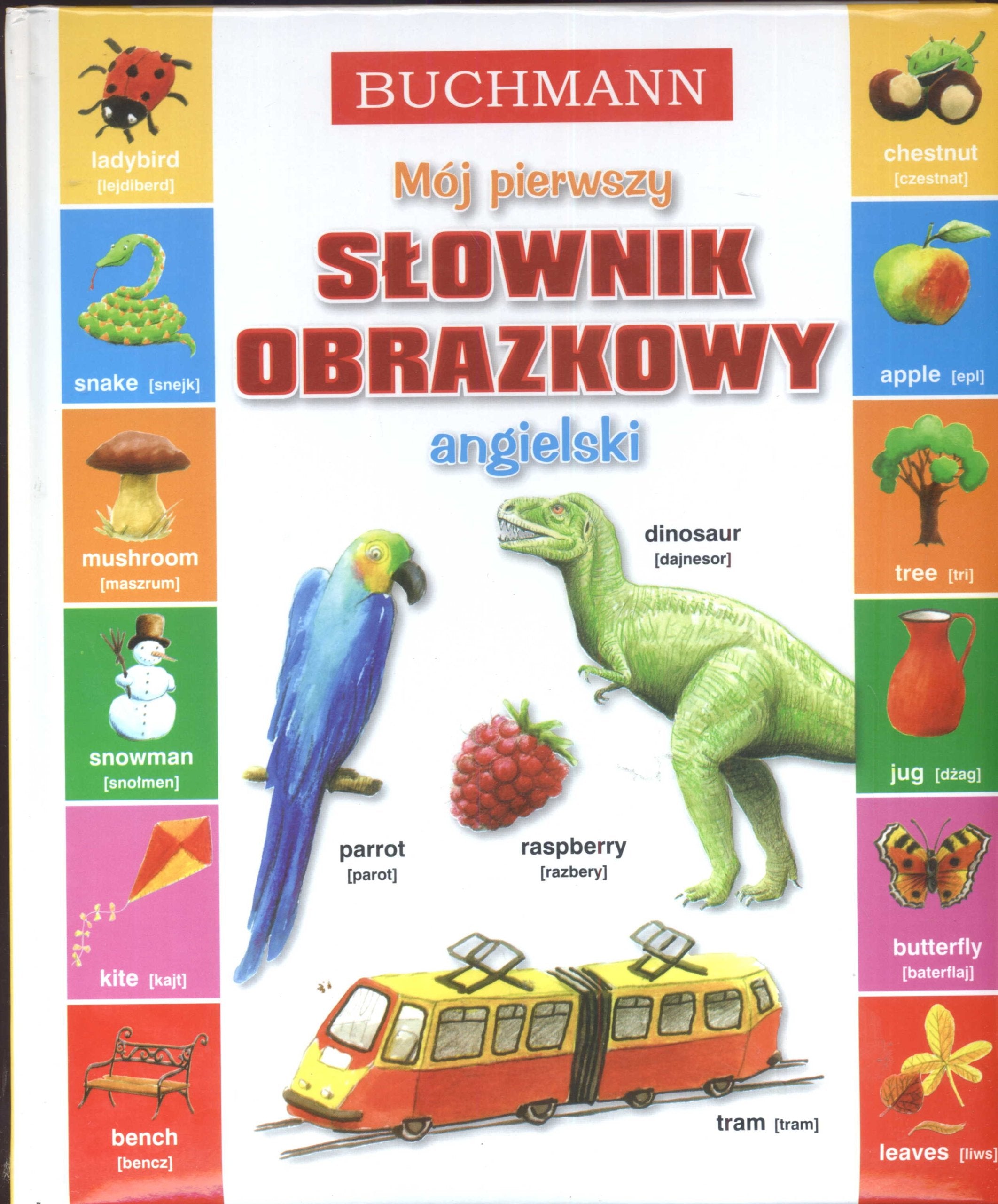 Mój pierwszy słownik obrazkowy angielski Books