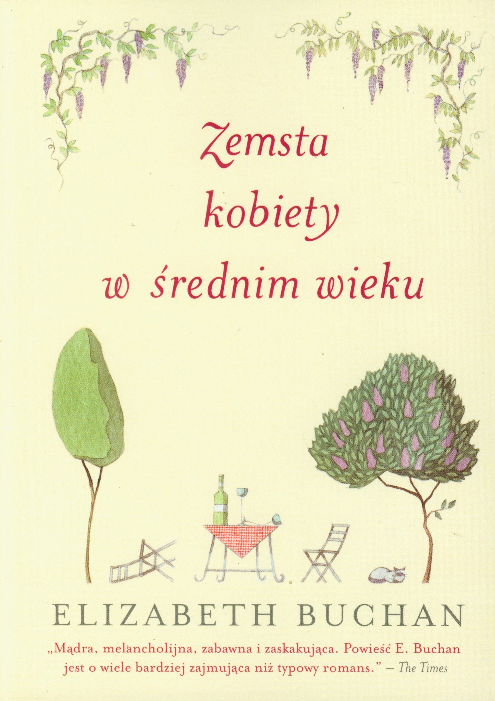 Zemsta kobiety w średnim wieku Books