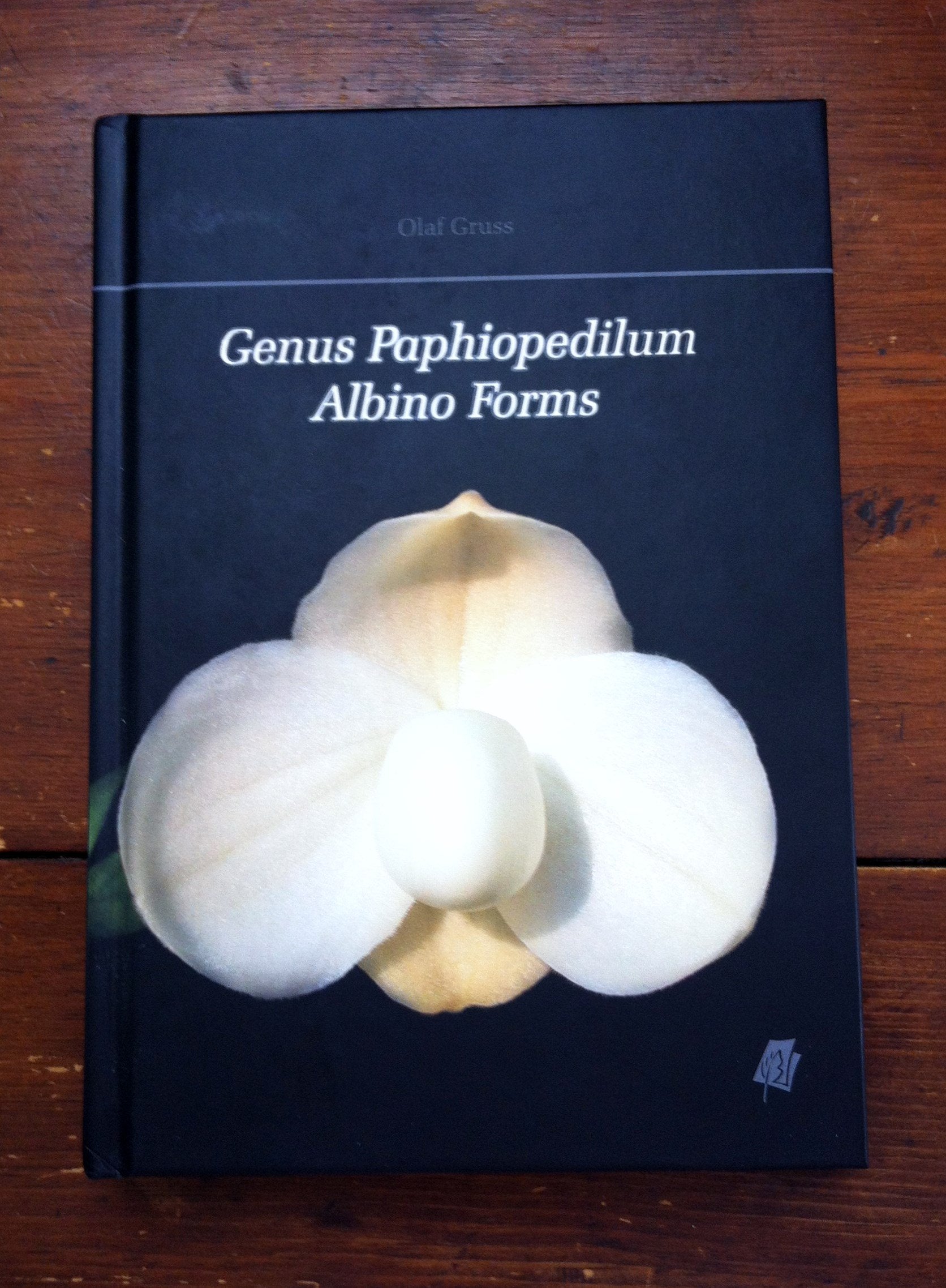 Product Image: Genus Paphiopedilum Albino Forms