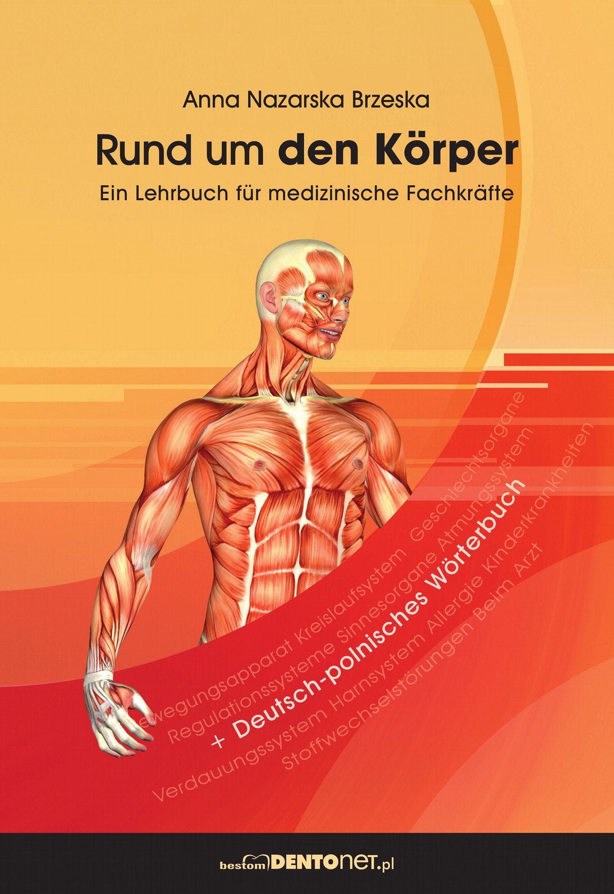 Rund um den Korper: Ein Lehrbuch für medizinische Fachkräfte Books