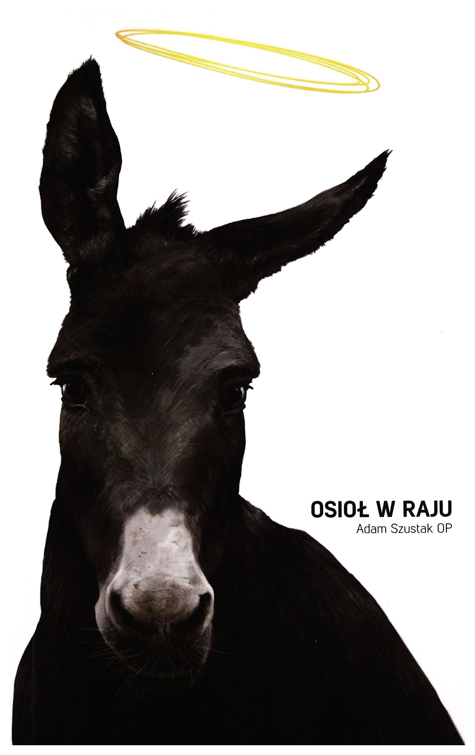 OsioĹ w raju - Adam Szustak Books