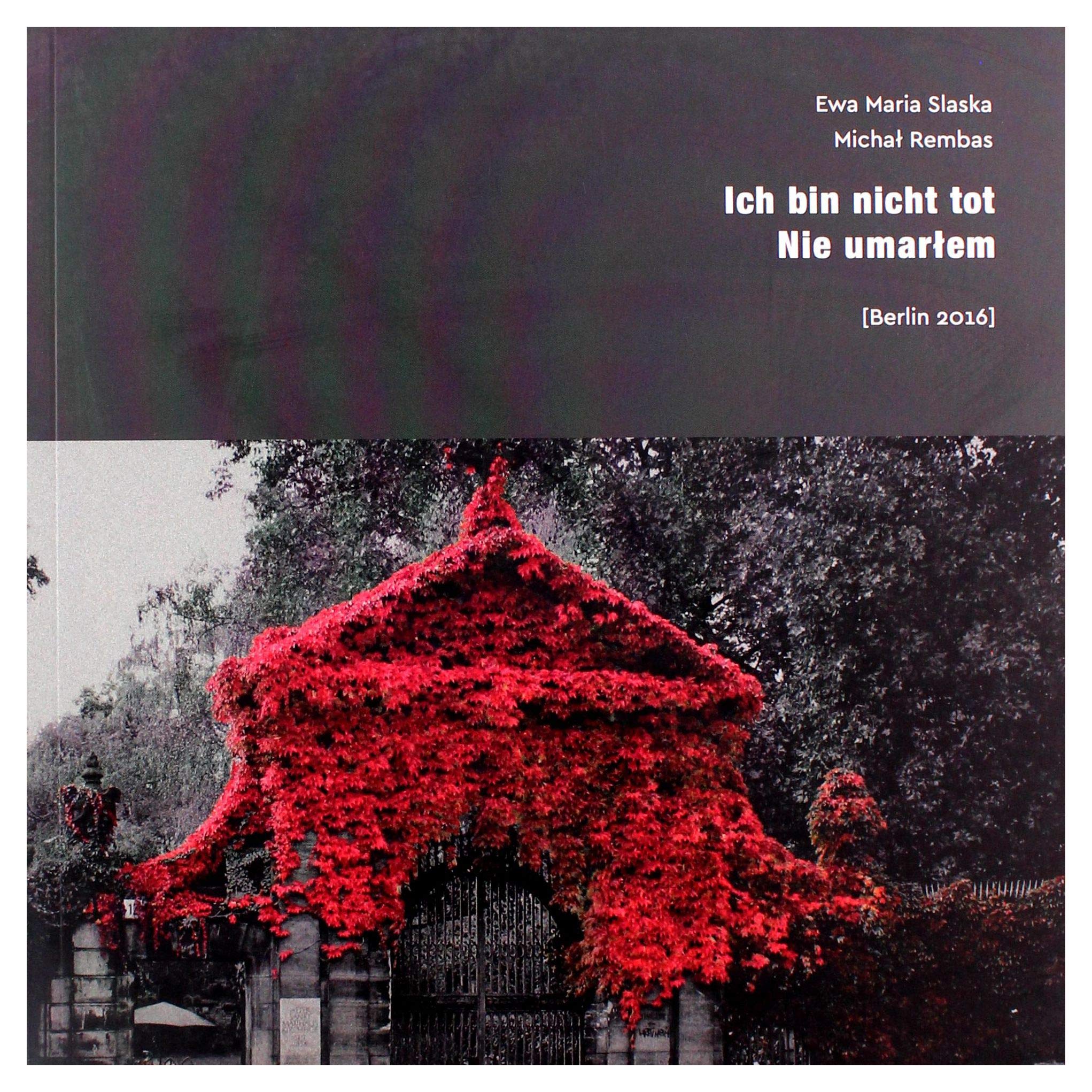 Nie umarĹem. Ich bin nicht tot - Ewa Slaska Maria, MichaĹ Rembas book