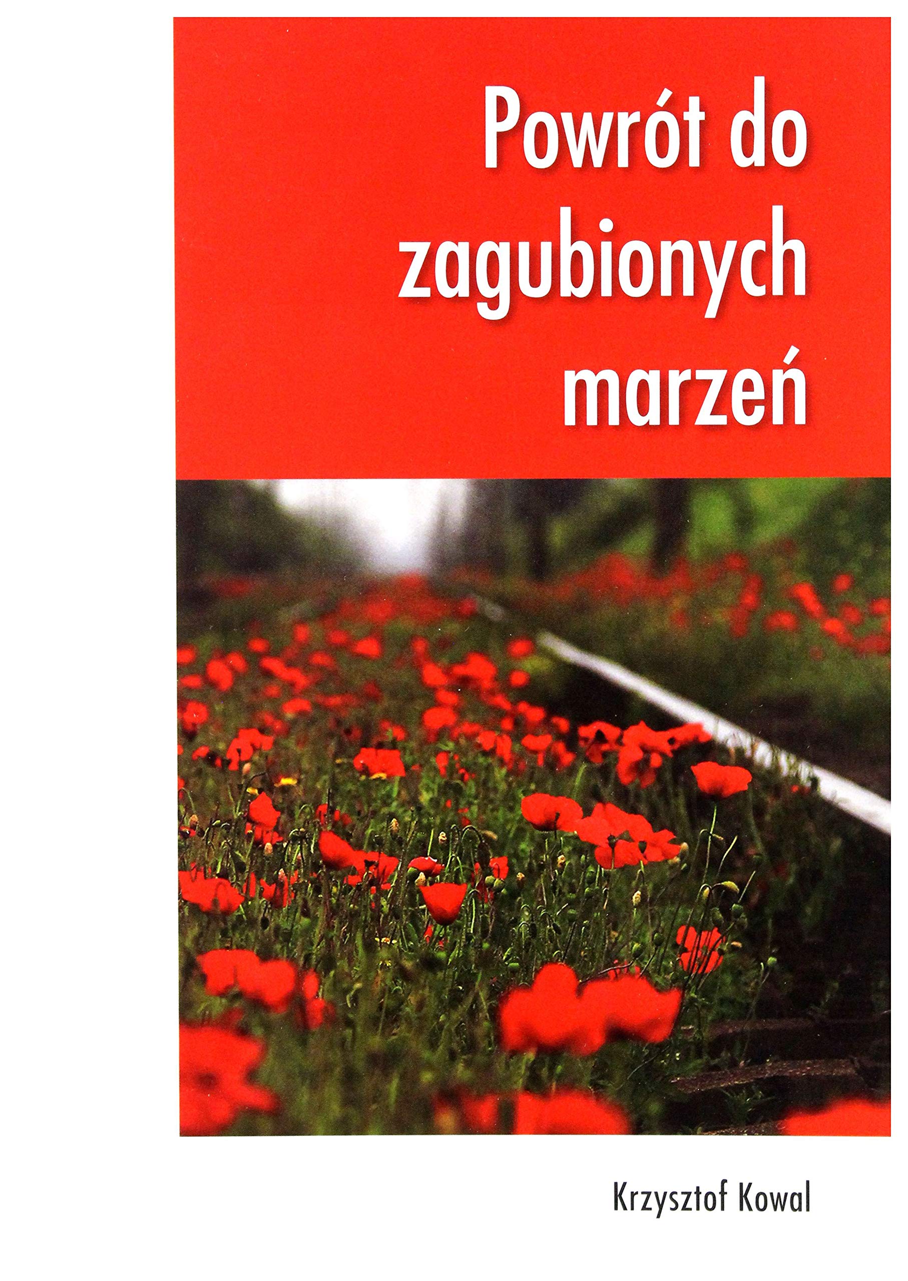 Powrot do zagubionych marzen Contemporary literature