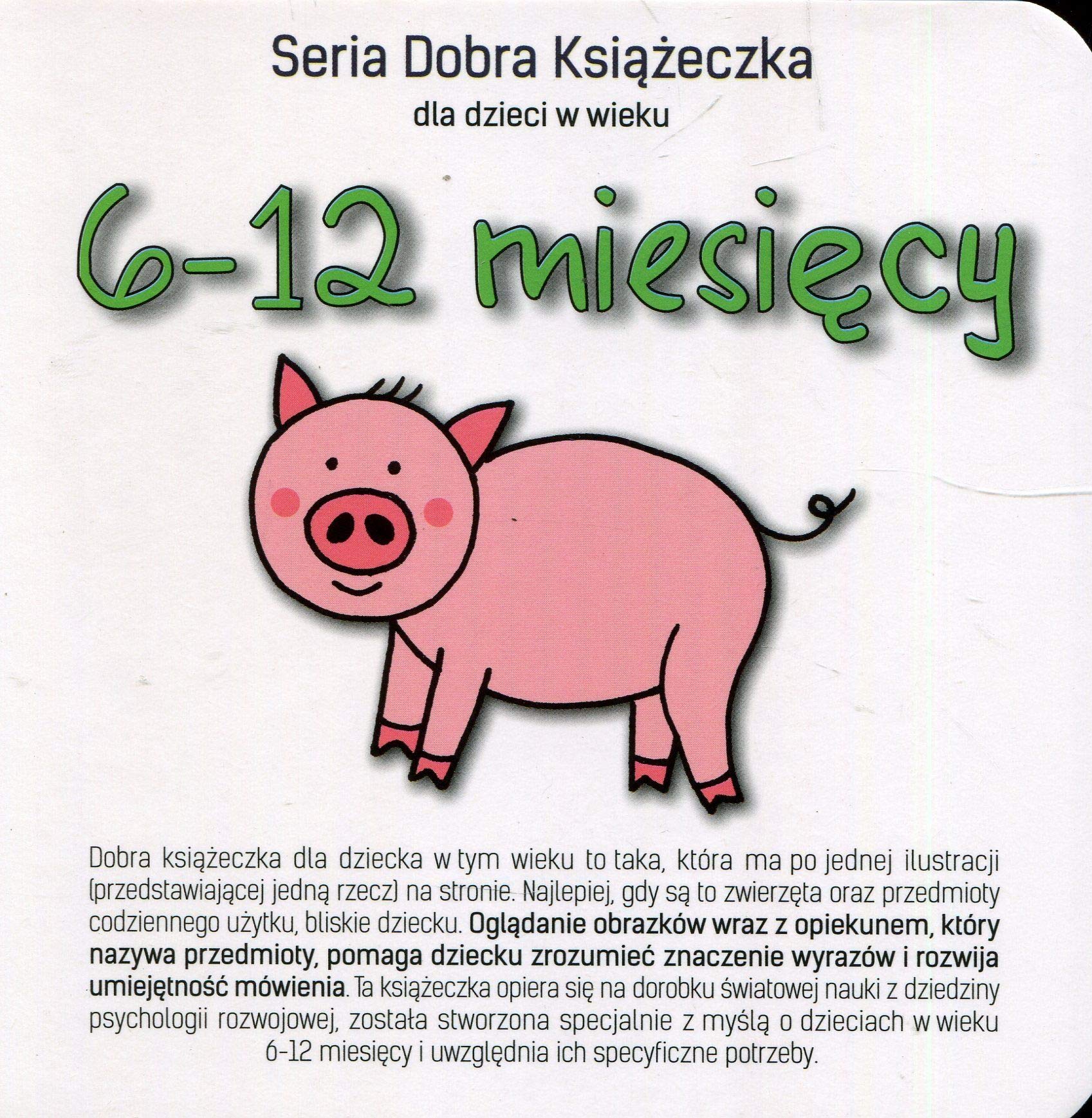 Seria Dobra Książeczka dla dzieci w wieku 6-12 miesięcy Books