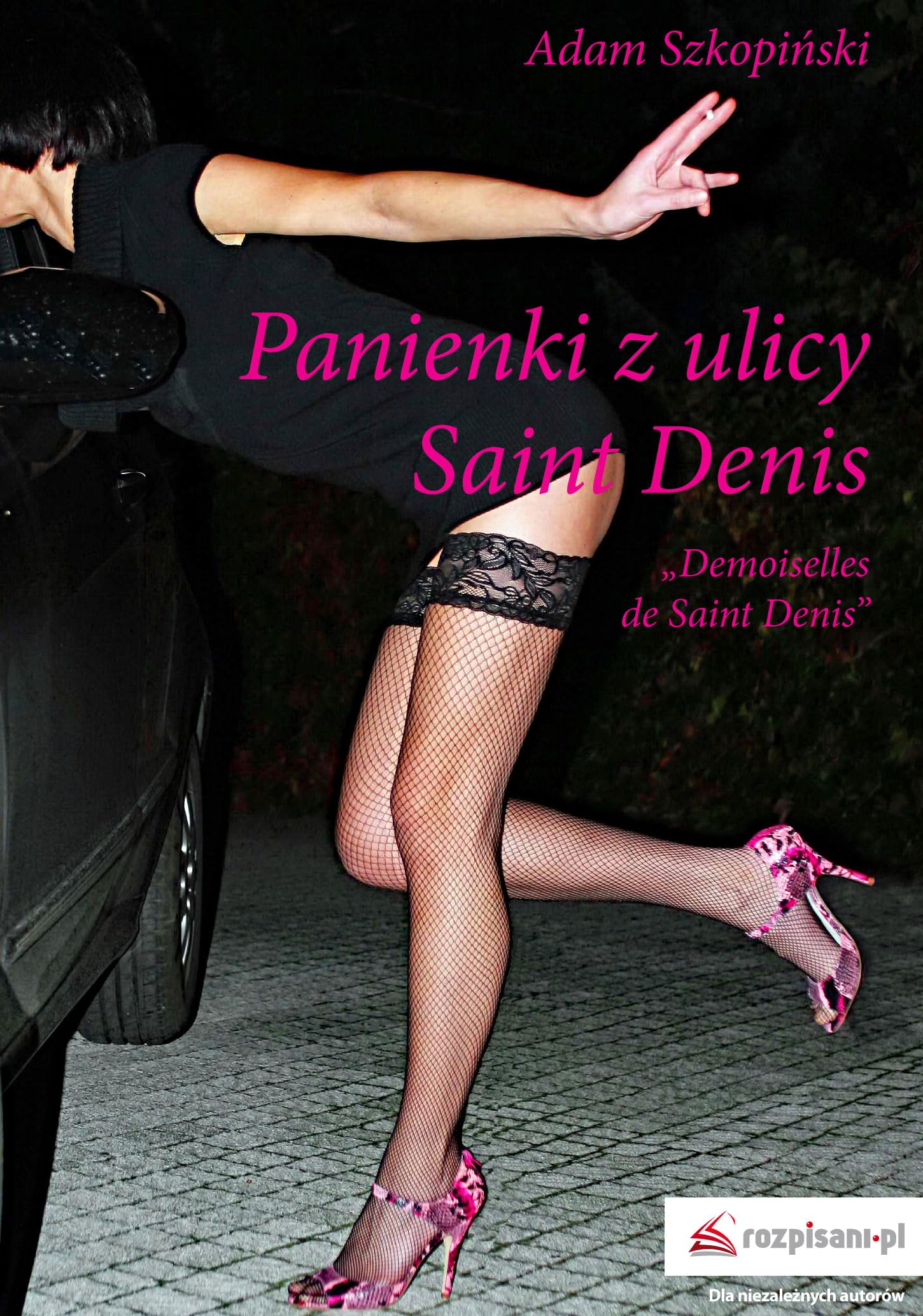 Panienki z ulicy Saint Denis Contemporary literature