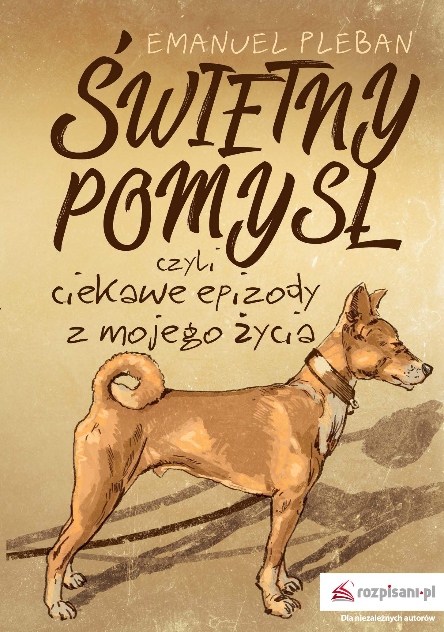 Świetny pomysł: czyli ciekawe epizody z mojego życia Books