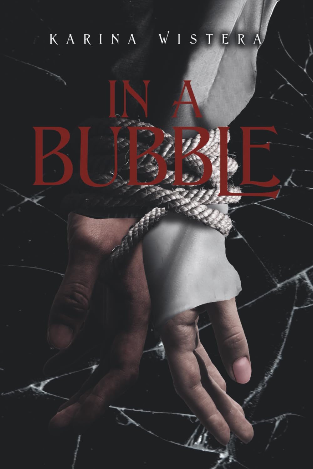In A Bubble: A Dark Enemies to Lovers Romance (Dark Bubble, Band 1) Politics & History