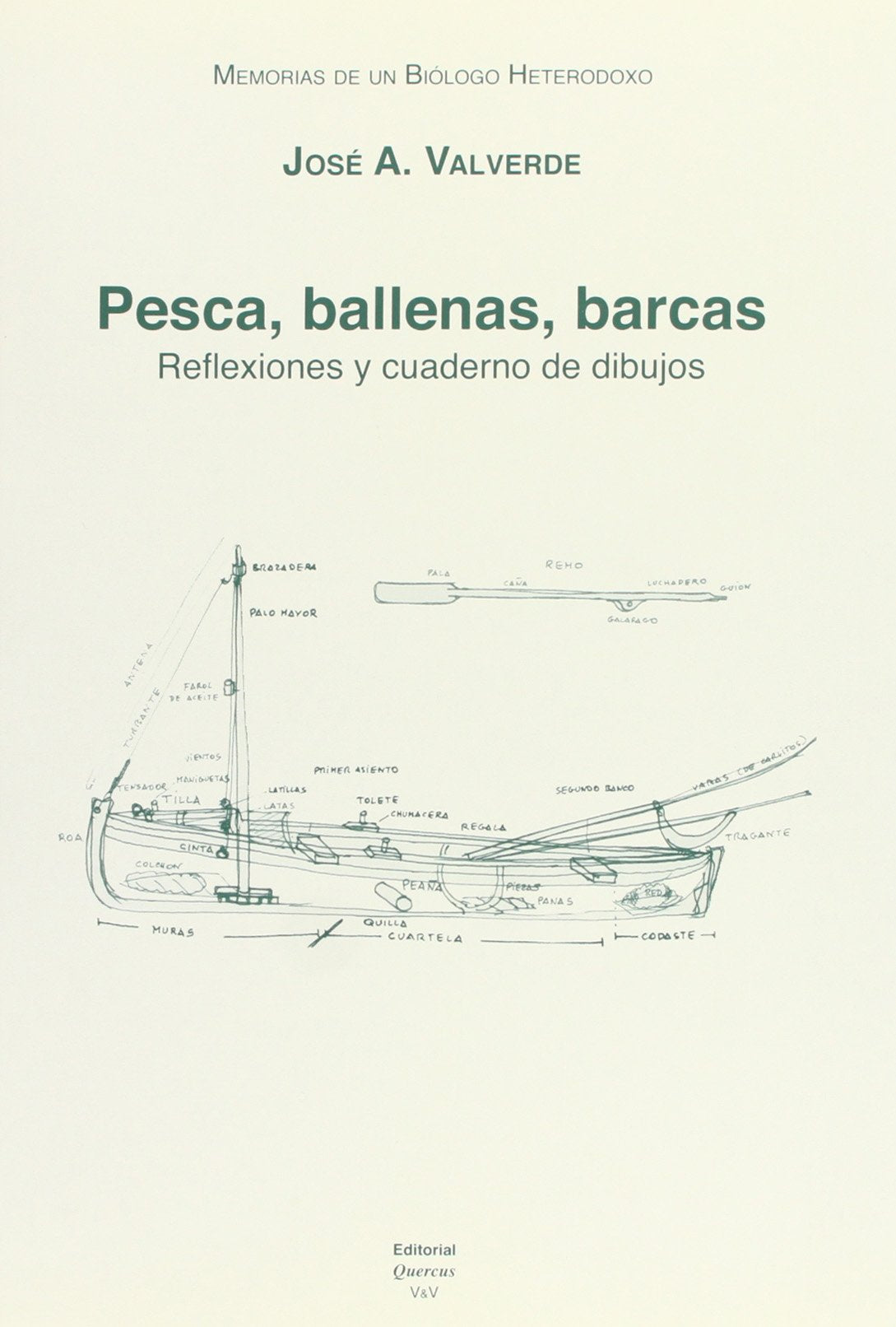 Memorias de un biólogo heterodoxo. Tomo VII. Pesca, ballenas, barcas: reflexiones y cuadernos de dibujos Natural Sciences