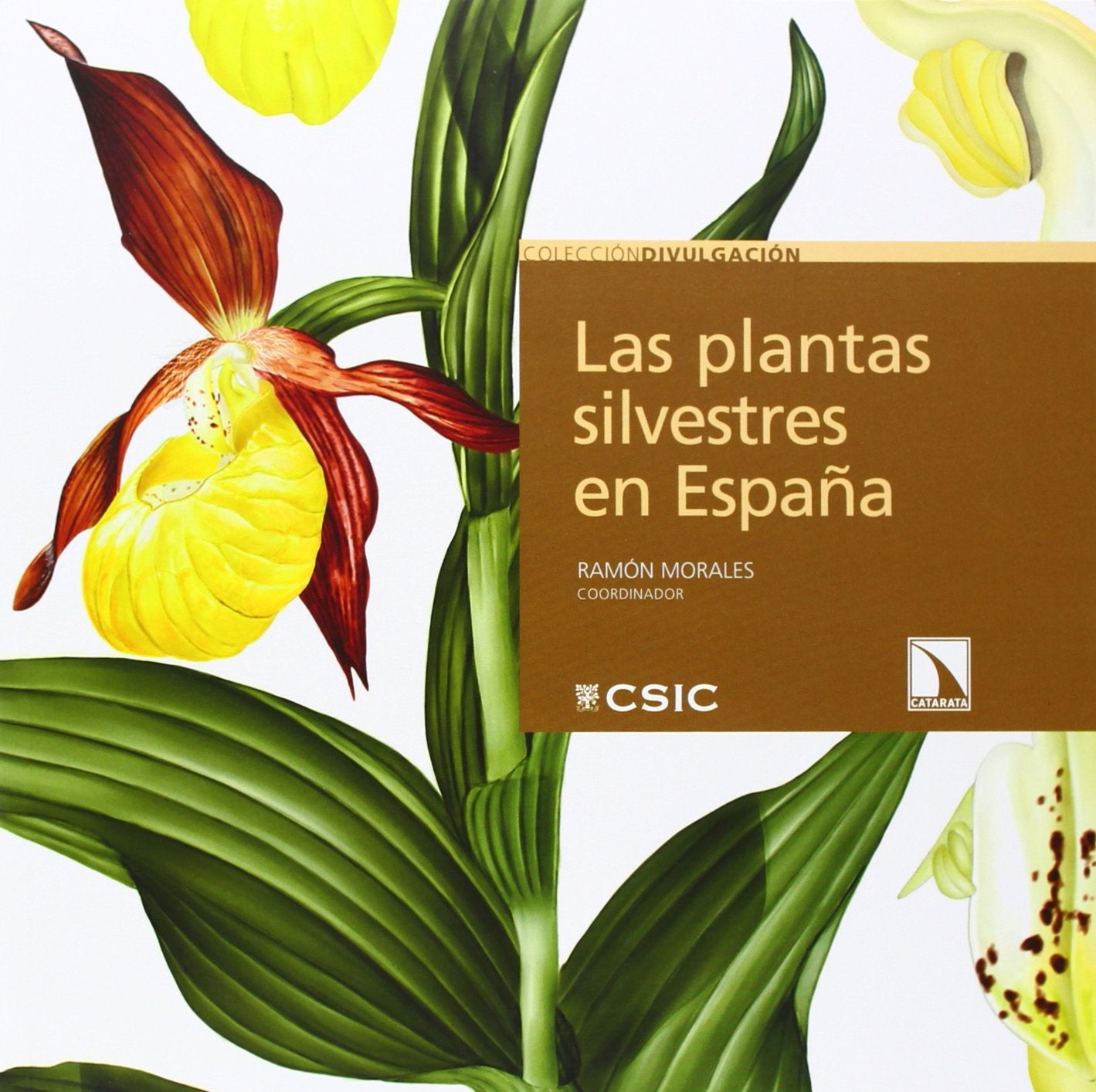 Las plantas silvestres en España Business & Technology