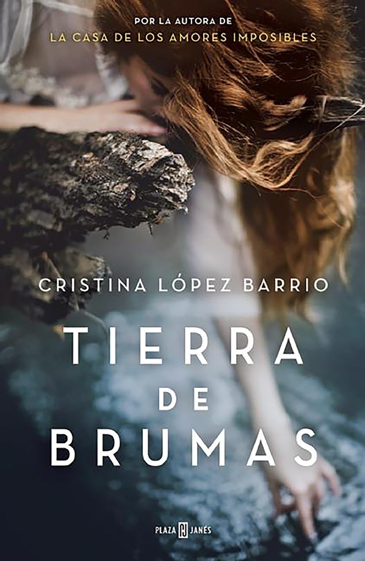 Tierra de Brumas / Land of Fog Historical Fiction