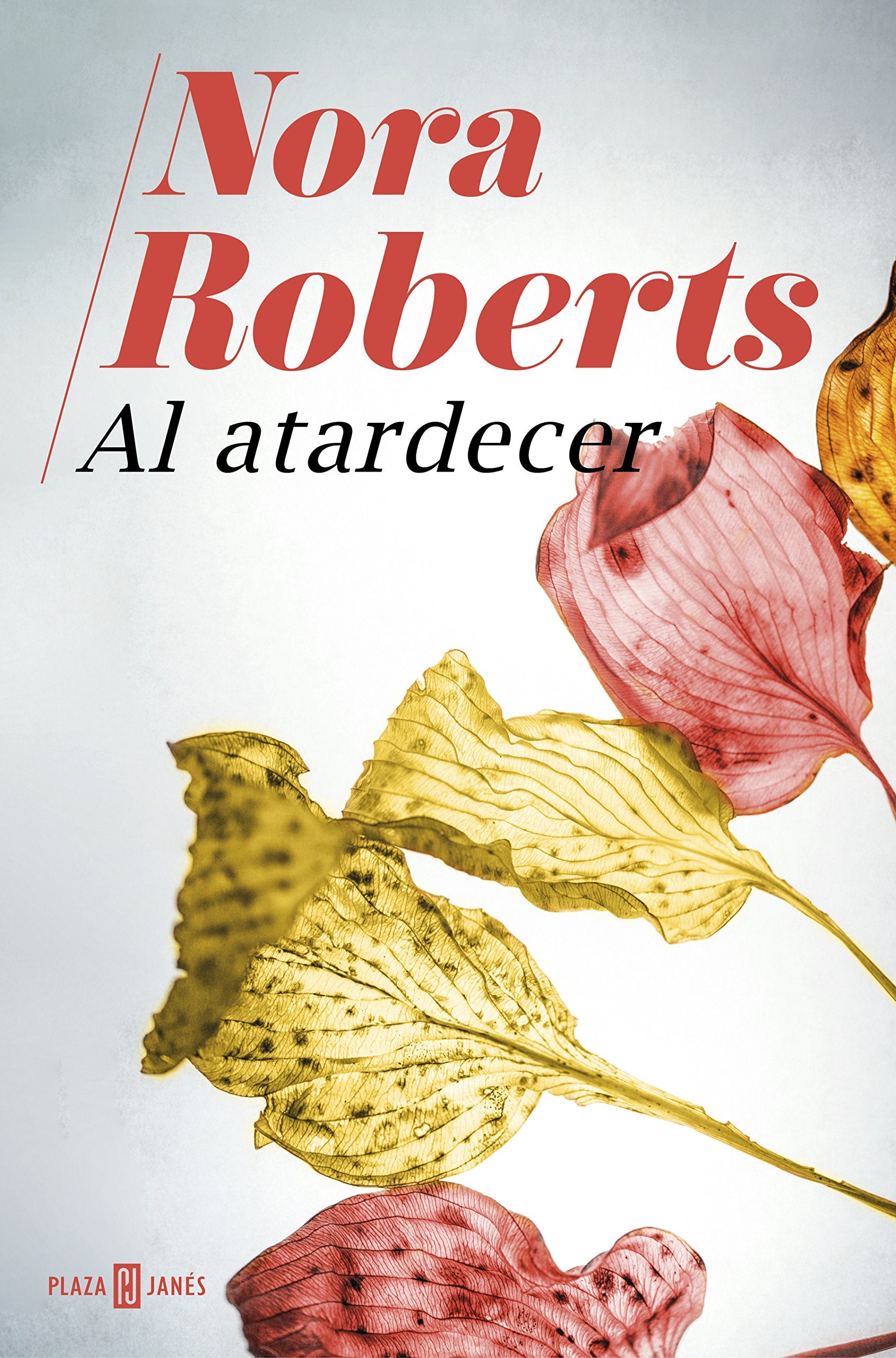 Al atardecer (Narrativa femenina) Contemporary literature