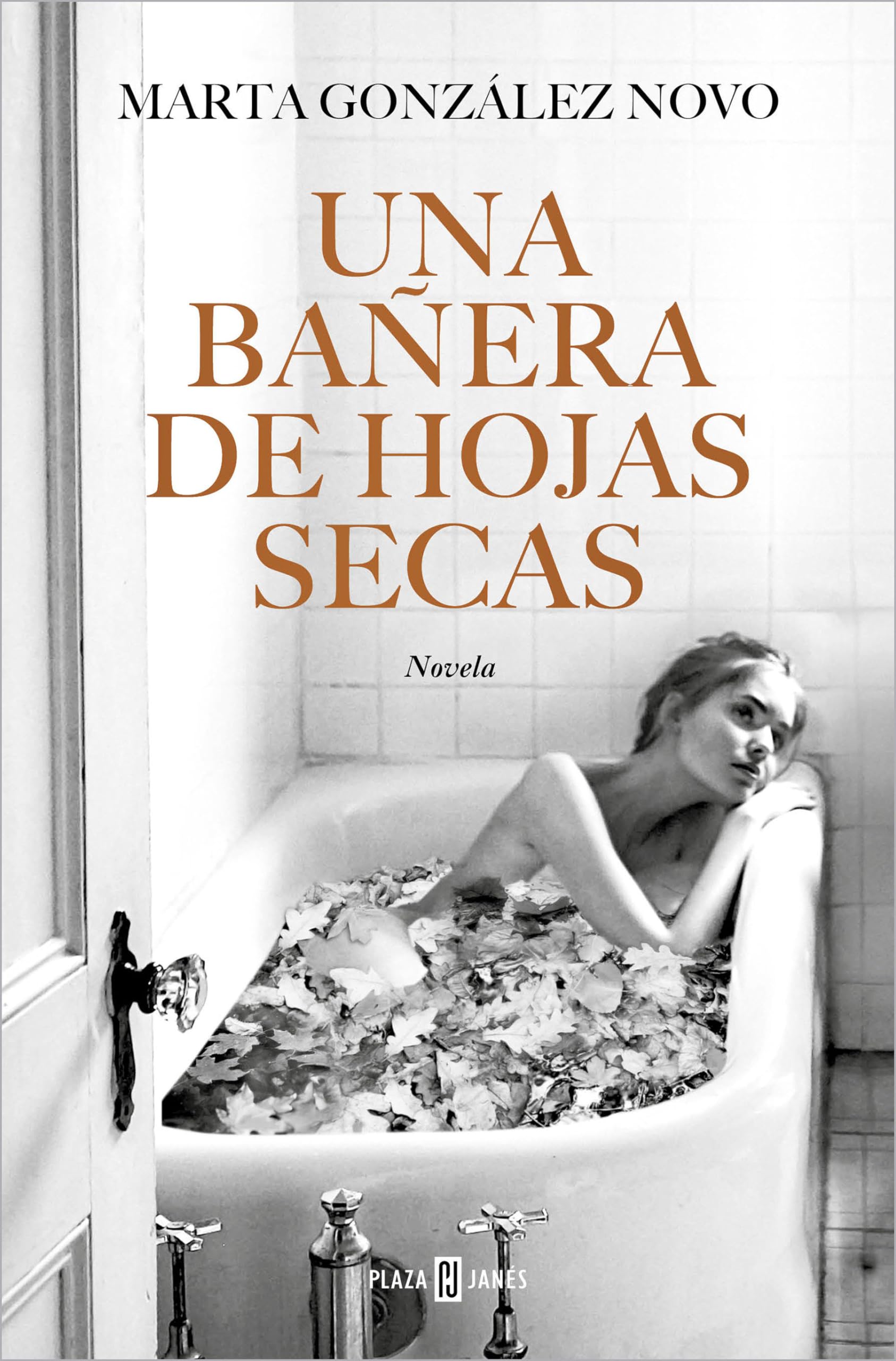 Una bañera de hojas secas / A Bath in Dry Leaves book
