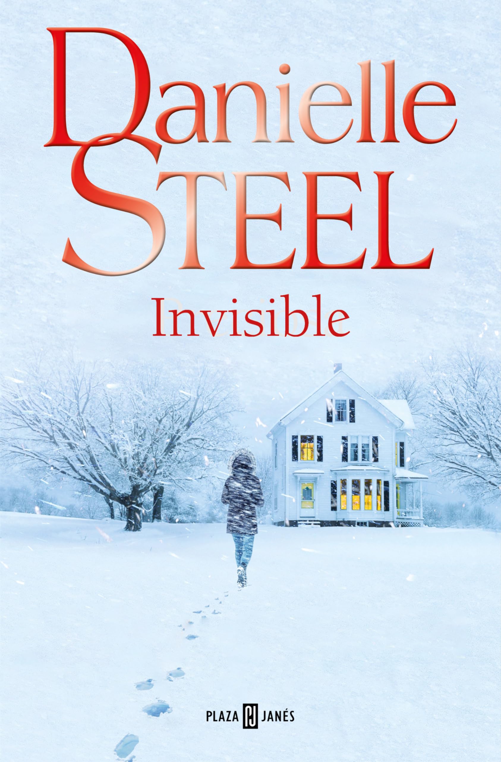 Invisible (Narrativa femenina) Contemporary literature