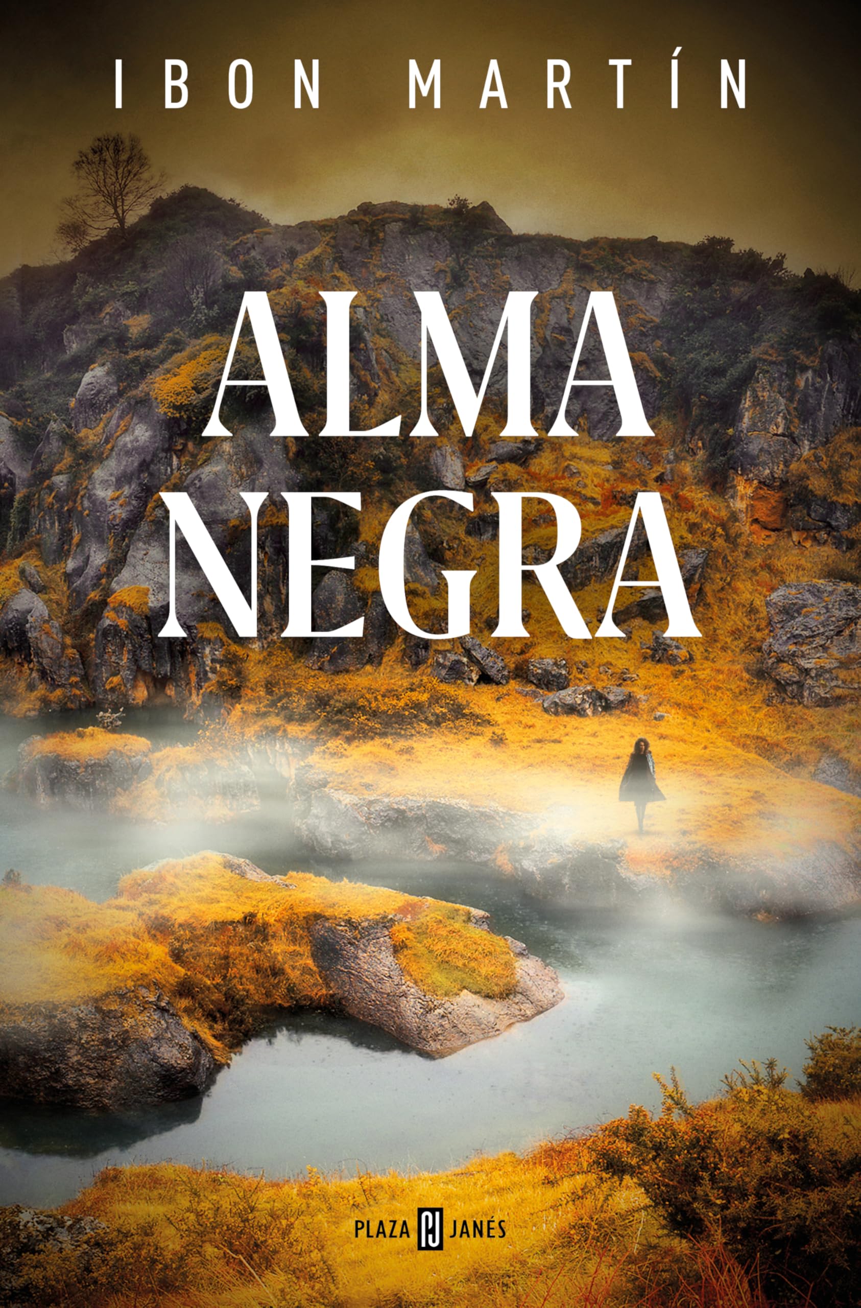 Alma Negra / Black Soul Contemporary literature