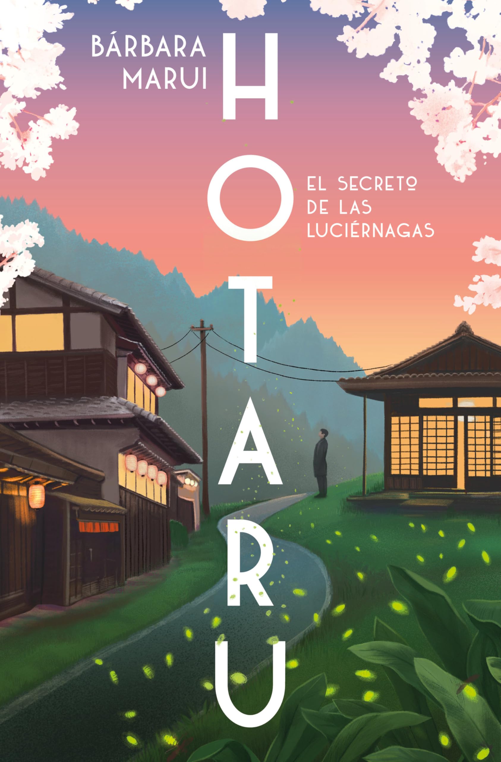 Hotaru/ Hotaru: El secreto de las luciérnagas/ The Secret of the Fireflies book