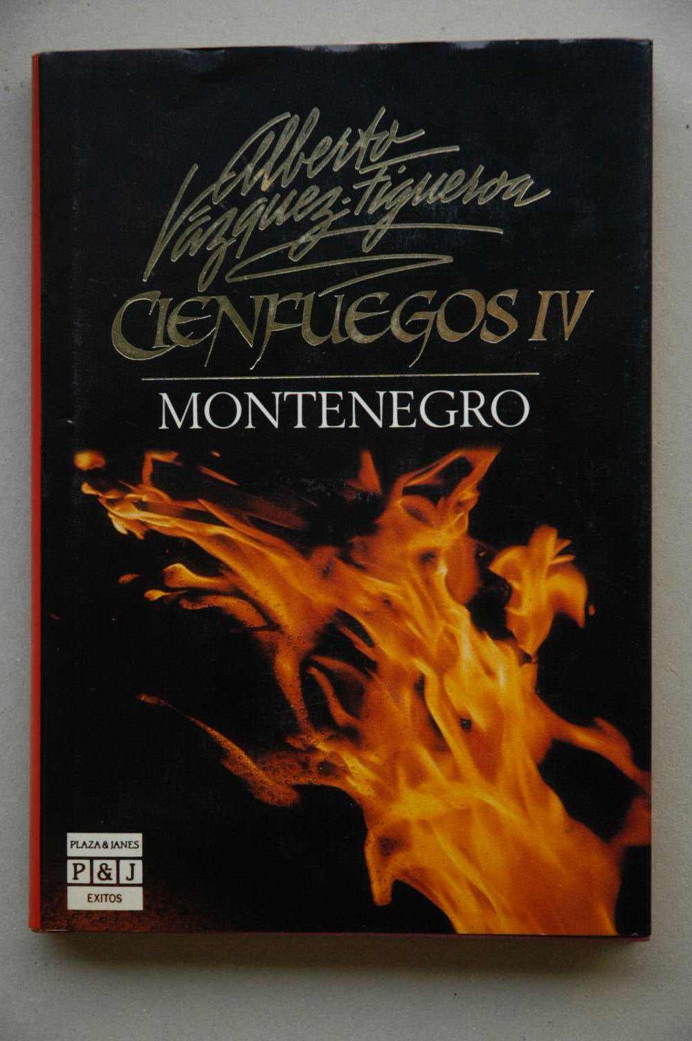 Cienfuegos IV. Montenegro book