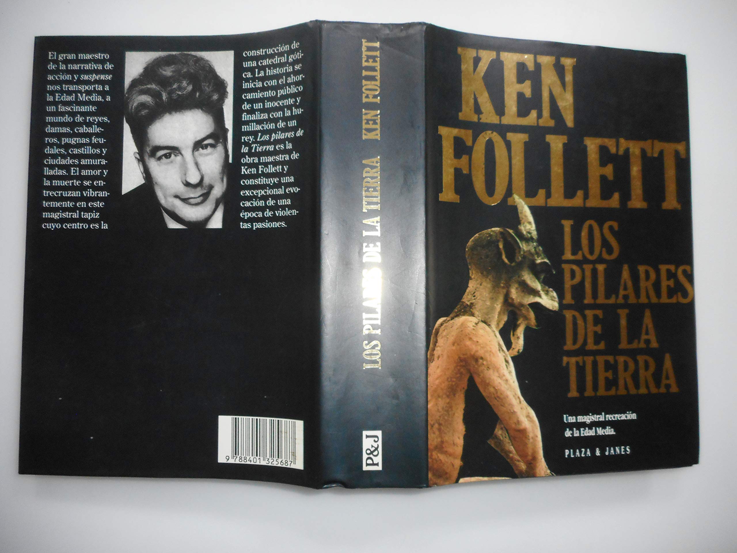 Los pilares de la tierra book