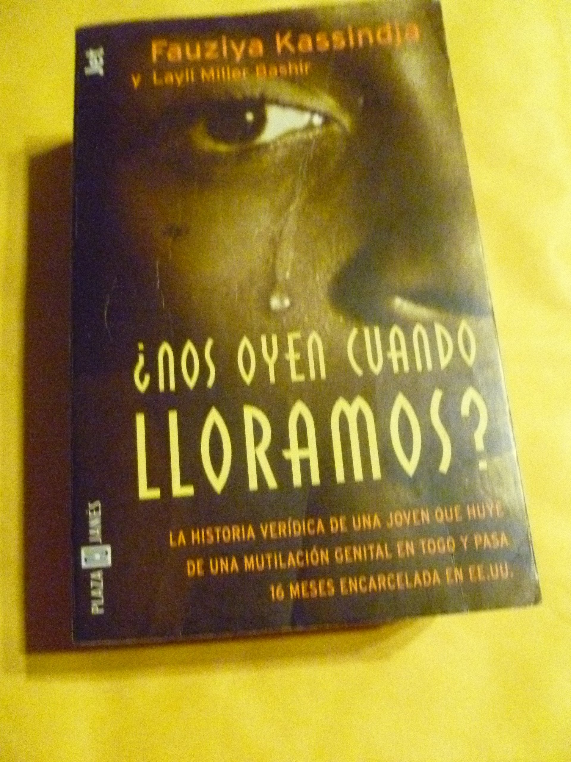 Nos Oyen Cuando Lloramos book