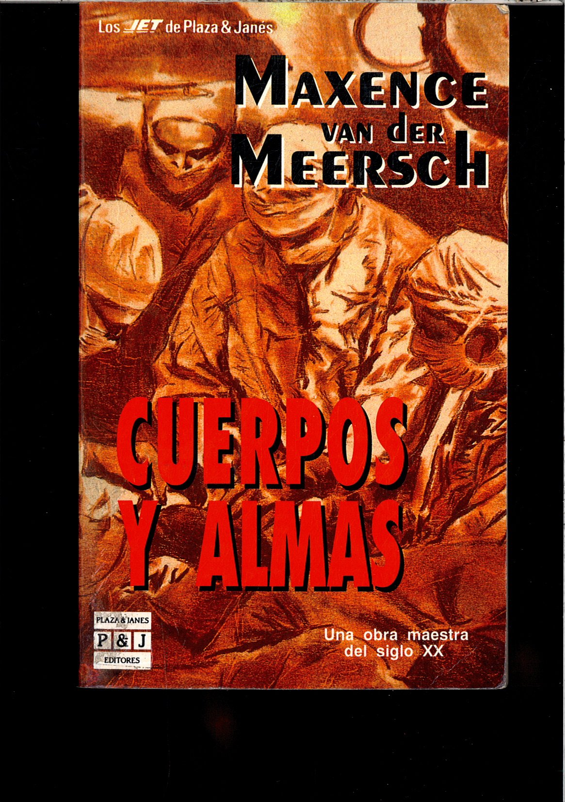 Cuerpos y almas book