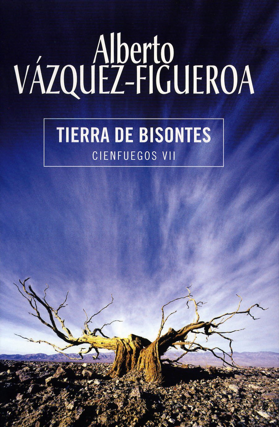 Tierra De Bisontes / Land of Bisons Historical Fiction