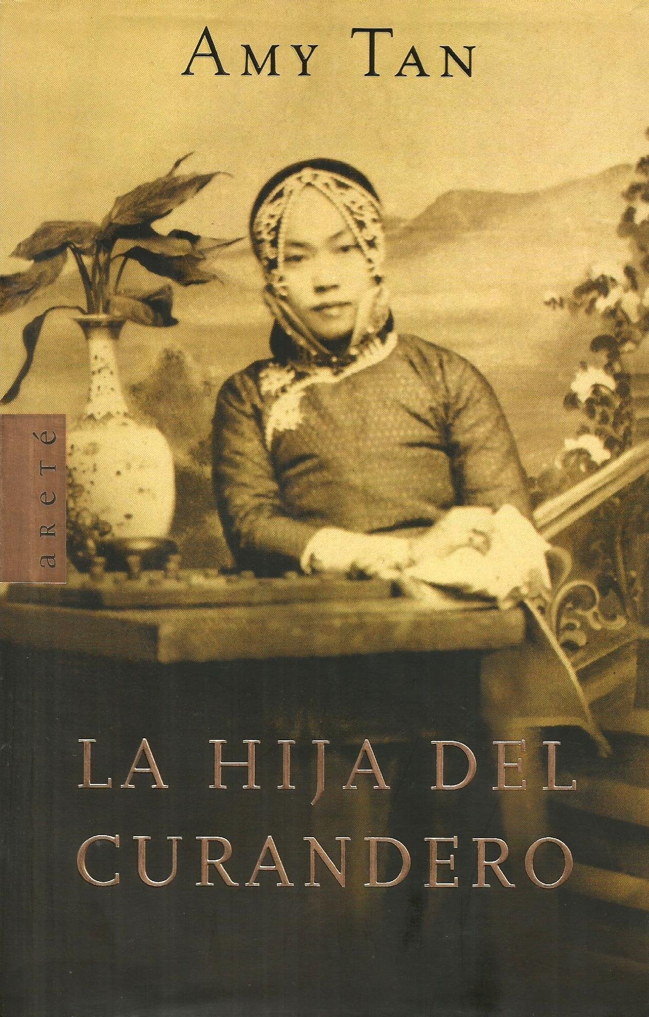 La Hija Del Curandero / The Bonesetter's Daughter Contemporary literature