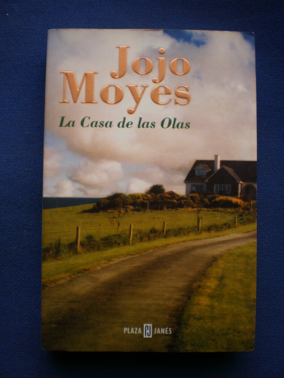 La casa de las olas / The house of the waves (Narrativa Femenina) Contemporary literature