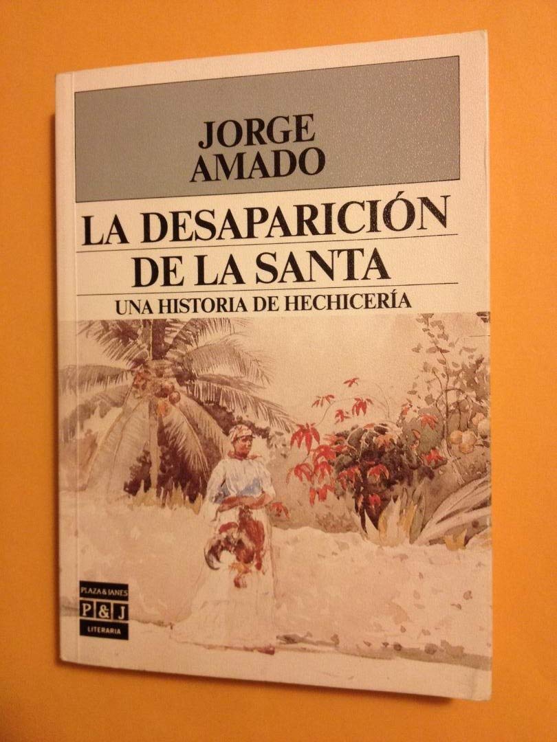 La desaparición de la santa: una historia de hechicería Books