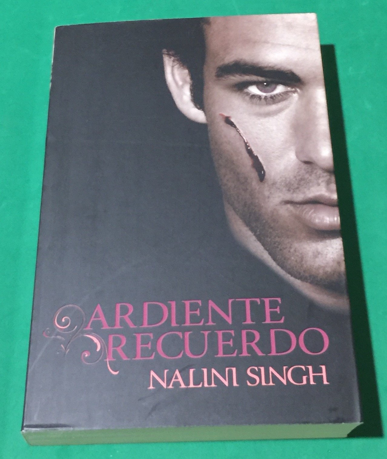 Ardiente recuerdo / Blaze of memory book
