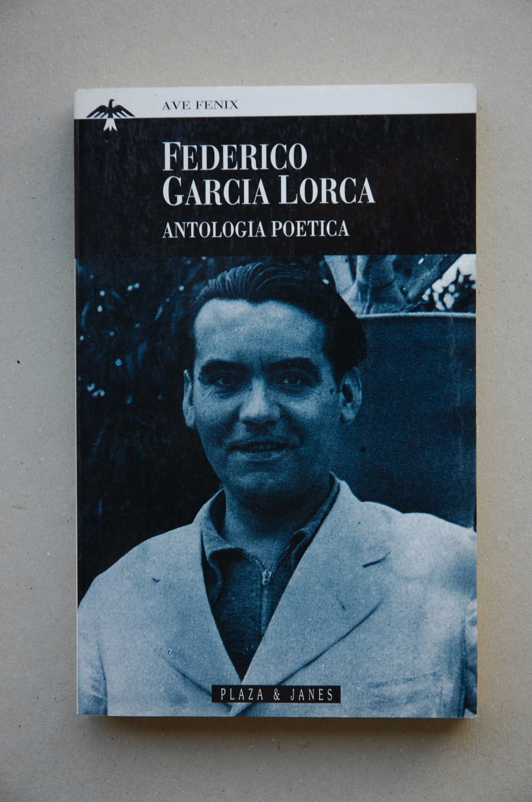 Antologia poetica de García lorca book
