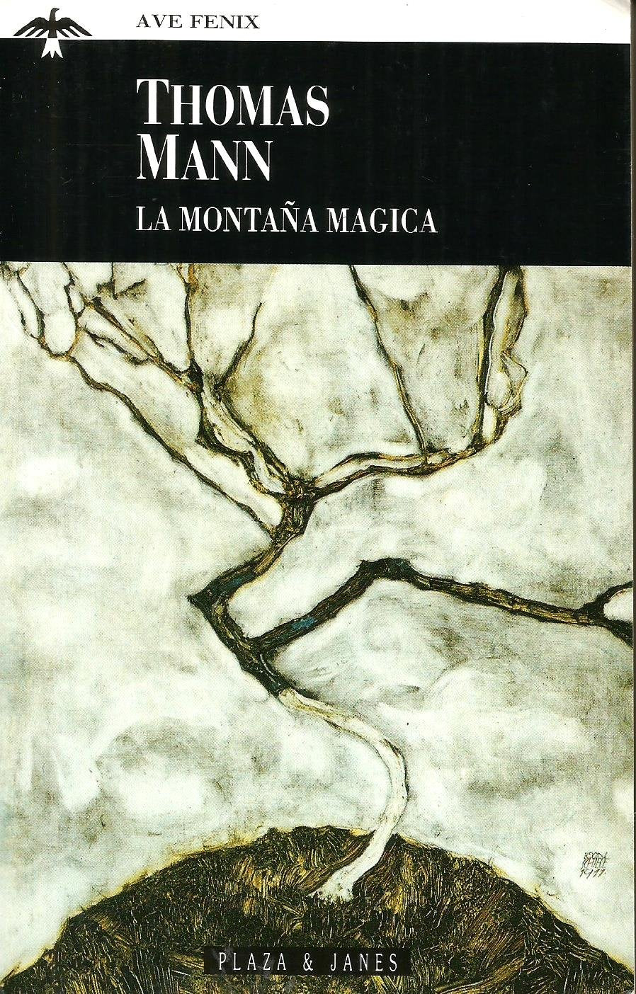 La Montana Magica / The Magic Mountain (Fiction, Poetry & Drama) Essays & Short Stories