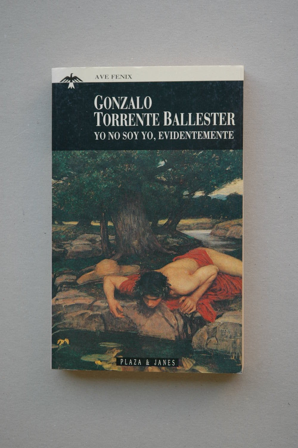 Yo No Soy Yo Evidentemente (Ave Fenix (debolsillo)) Books