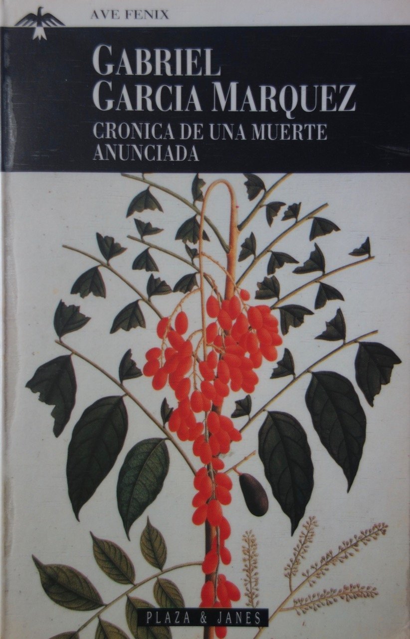 Cronica De UNA Muerte Anunciada book