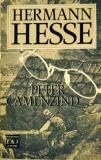 Peter Camenzind Books