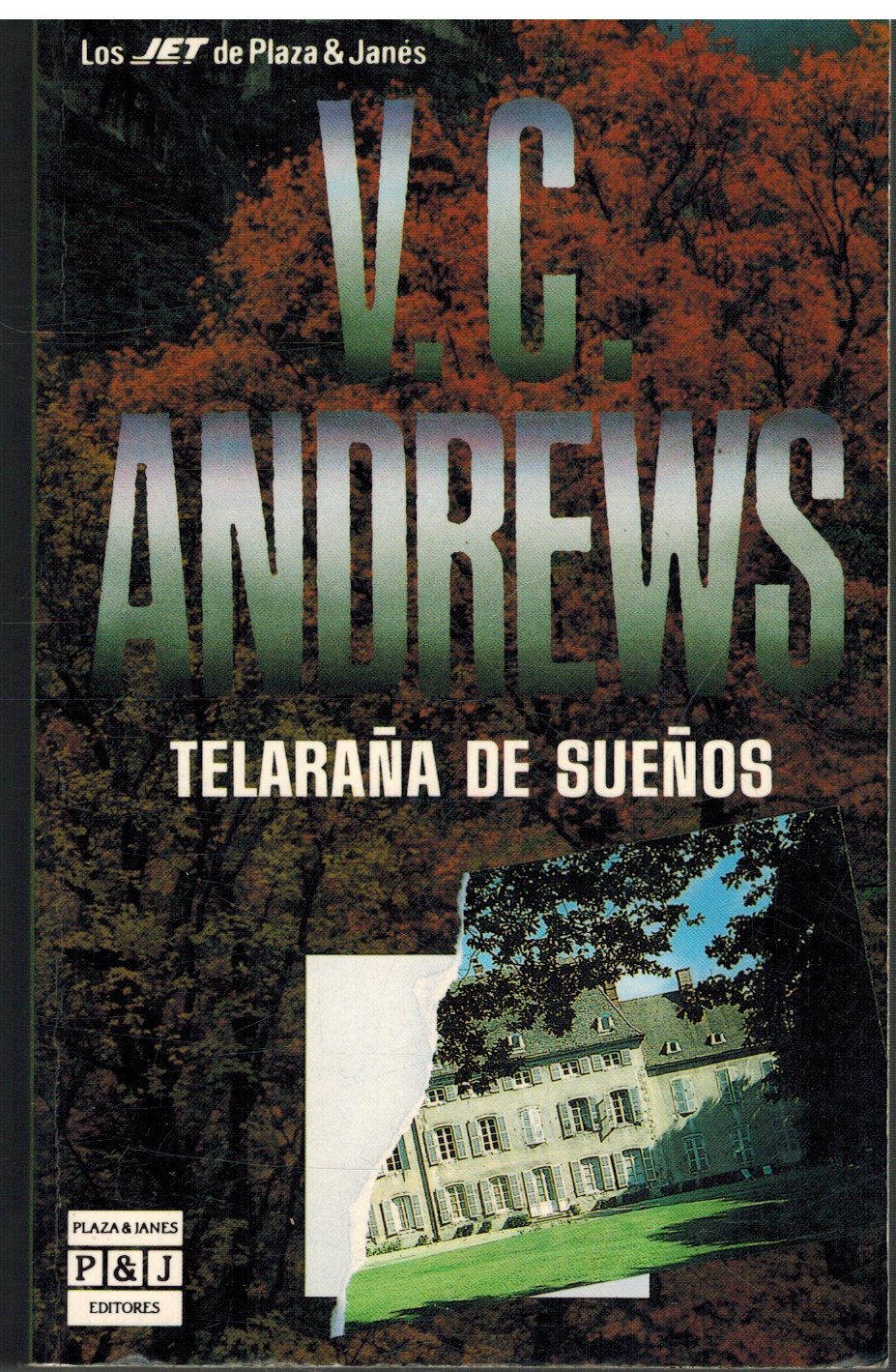 Telaraña de sueños (Cuadernos Ratita Sabia) Books